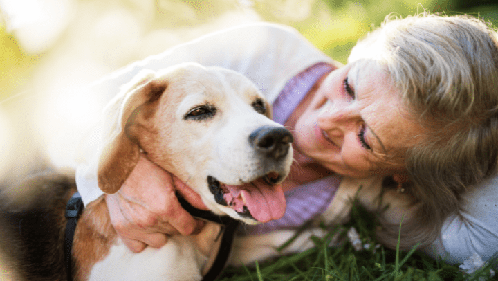 elderly with a dog