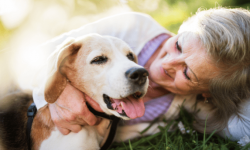elderly with a dog